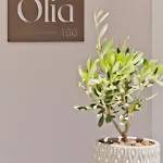 Olia Boutique * Karpathos